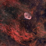 Nebulosa Crescent / Stellar Wing From Wolf-Rayet Star