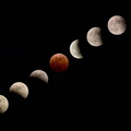 Eclipse 8 x 12.jpg