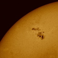 Sunspot of AR1339 