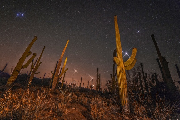 Desierto nocturno