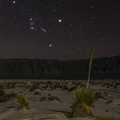 Orion in the Desert