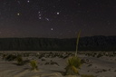 Orion in the Desert