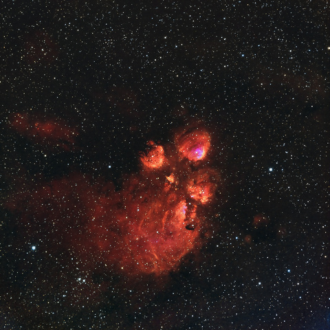 NGC 6334 28 x 28.jpg