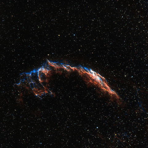 Veil Nebula 28 x 28.jpg