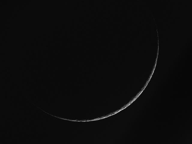 Luna-001L.jpg