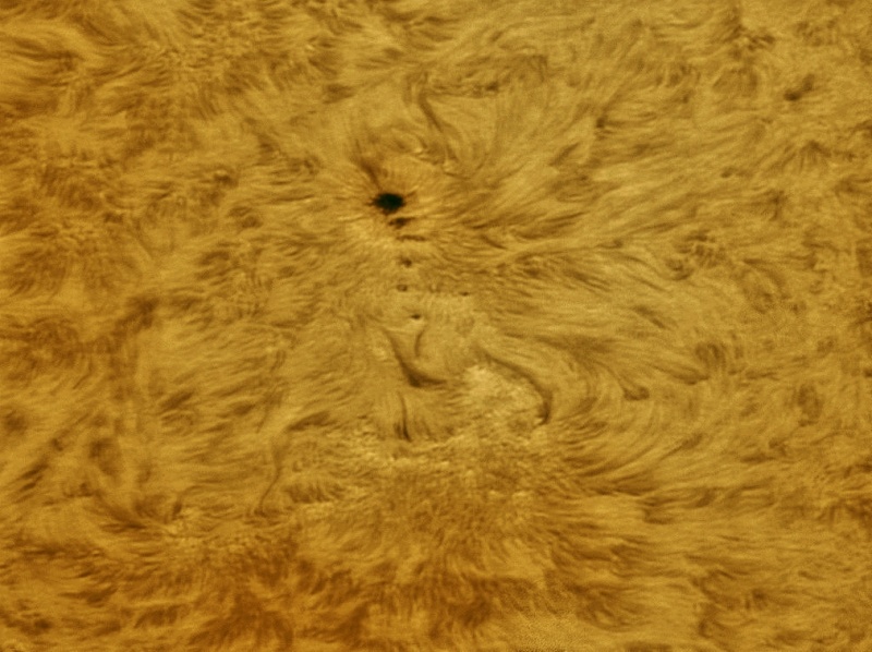 Cadena de manchas solares / Chain of sunspots
