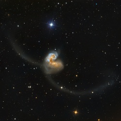 Galaxias